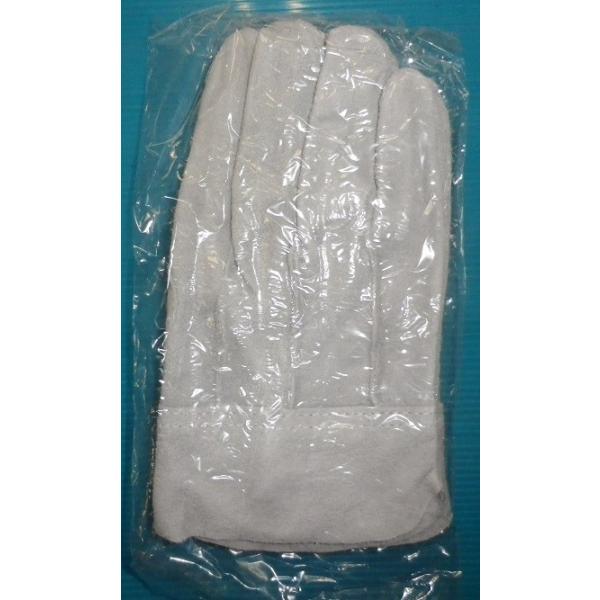 (12o)  v wD v  v ܂Ƃߔ