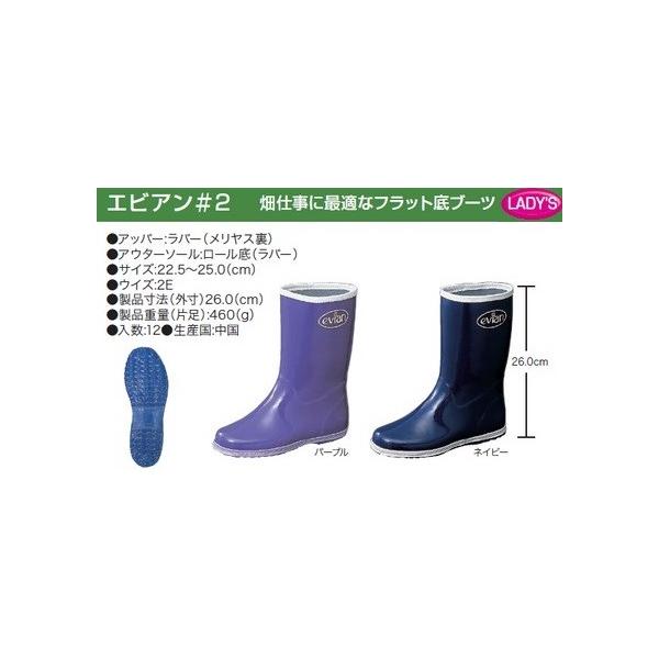 C RS GrA#2 u[c p fB[X  evian