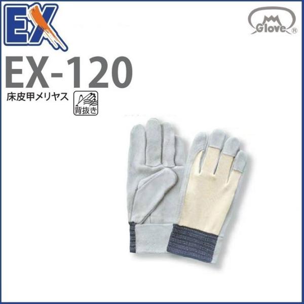 (10o)  bX EX-120 xmO[u M`LL w EX120