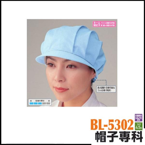 (hイł܂) ƖX qTVtq_^bNX BL-5302 ƗpXq Lbv