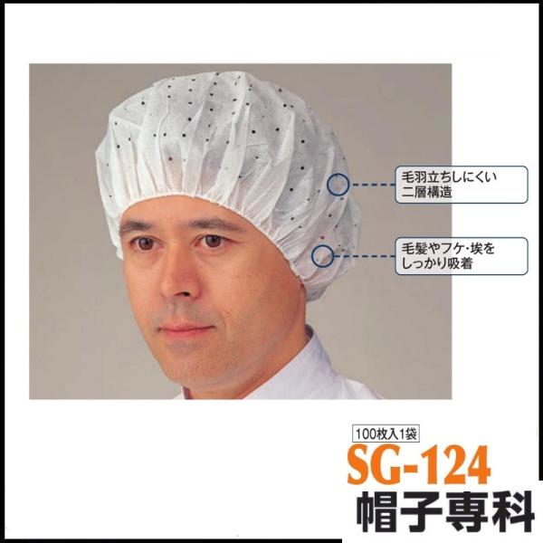 ƖX Xt SG-124 1001 ƗpXq Lbv