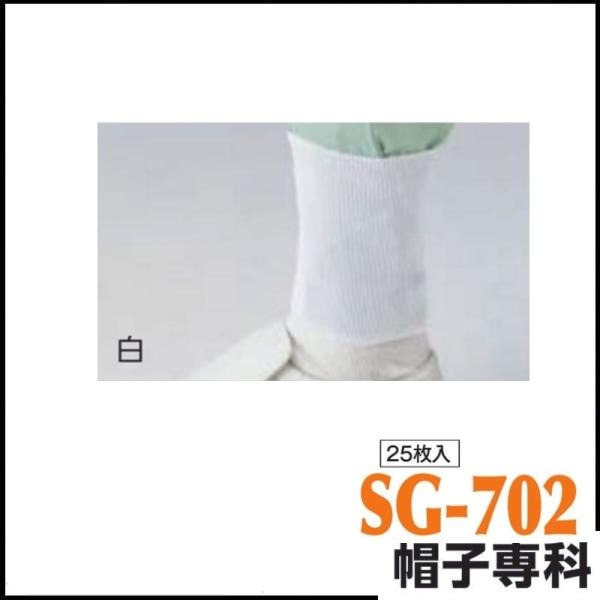 (25����) �t���C�X����p �� SG-702
