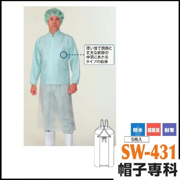 ���t�N���A�O�|[5����] SW-431 �h�� ���y�� �ϊ�