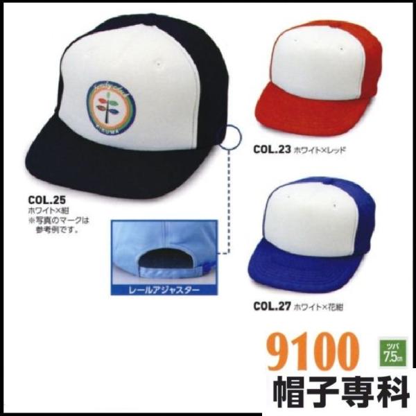 (�h���イ�ł��܂�) ��ƖX �A�����J���j�b�g�R���r�L���b�v(�A�����i) 9100 ��Ɨp�X�q �L���b�v