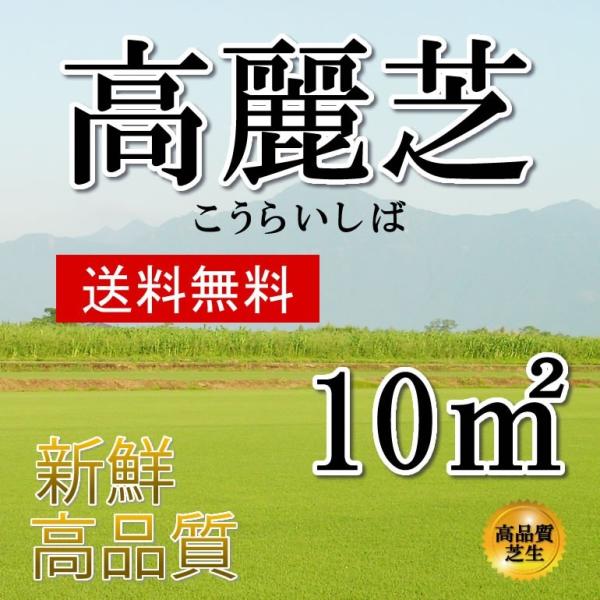 芝生高麗芝10平米鹿児島産 Buyee Buyee 提供一站式最全面最專業現地yahoo Japan拍賣代bid代拍代購服務bot Online