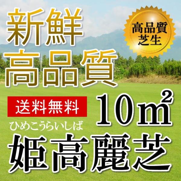 芝生姫高麗芝10平米鹿児島産 Buyee Buyee 提供一站式最全面最專業現地yahoo Japan拍賣代bid代拍代購服務bot Online