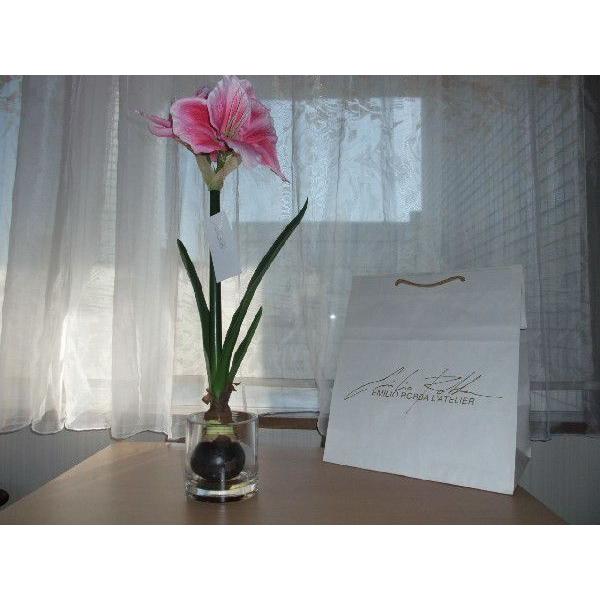 エミリオ ロバ アマリリス ガラス花瓶 Ea1401 鳳メガネ 通販 Yahoo ショッピング