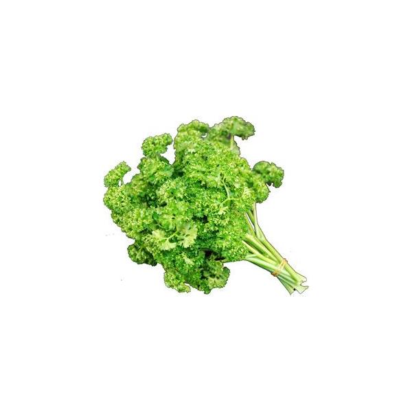 pZiςj@30g@BYEEF{E啪EEtEkCY