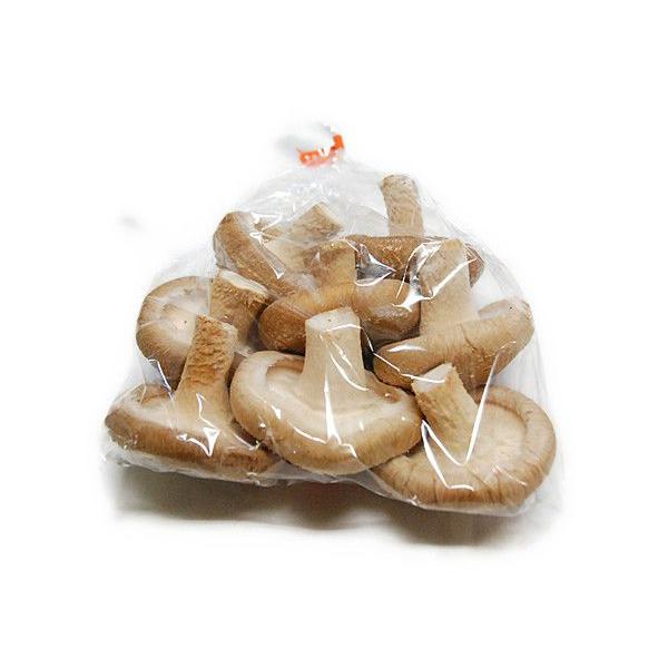 őij@100i6`8j@@yE啪EEBz