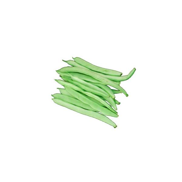 񂰂񓤁iCQ}j@100@mY