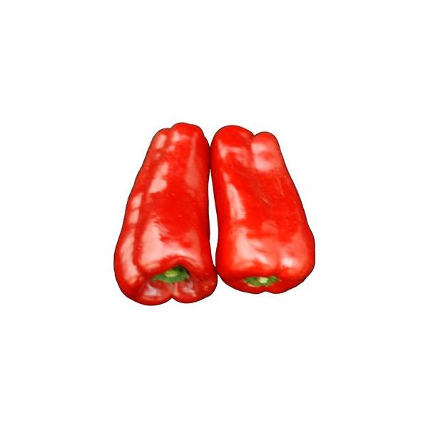 ԃs[}ibhs[}j@1܁i100j@@EF{Em