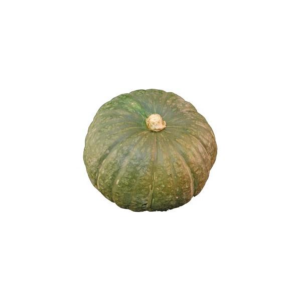 南瓜（かぼちゃ）　1玉　ニュージー・メキシコ・トンガ・ニューカレドニア