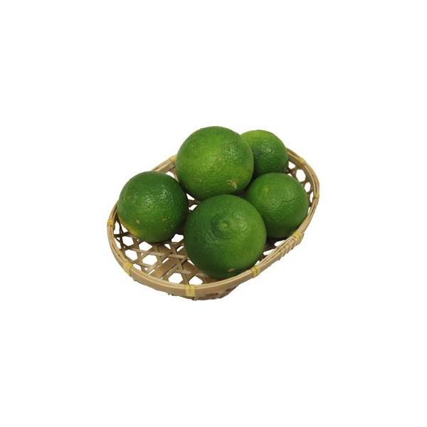 BY@啪̓YI@J{XiڂE|j500@B̈SESȖ؁I@y啪YEYz