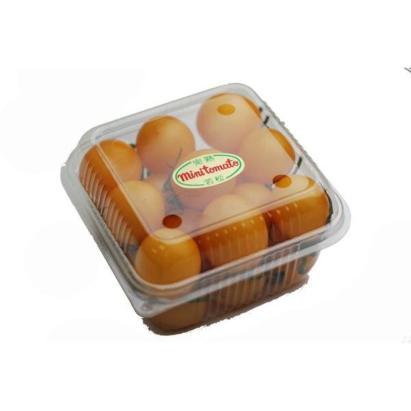 CG[~jg}giF~jg}gj@PpbN@Y