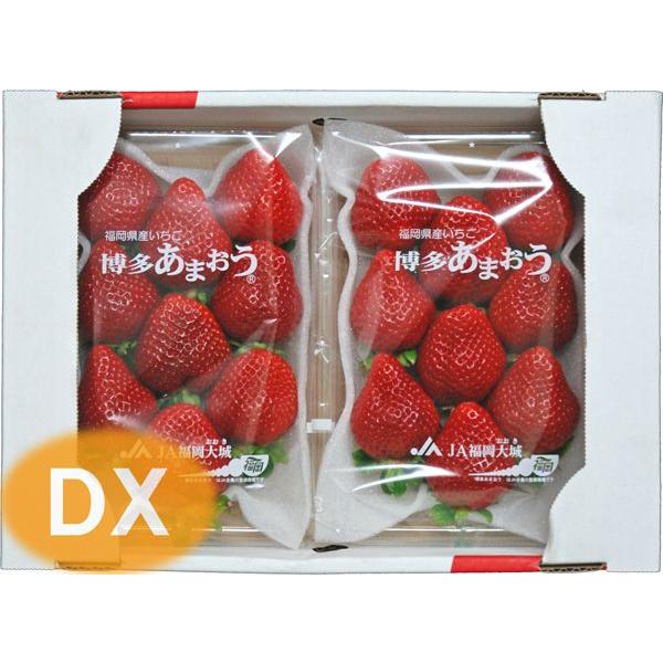 ܂cwifbNXj@1i2pbNj@Yi܂j