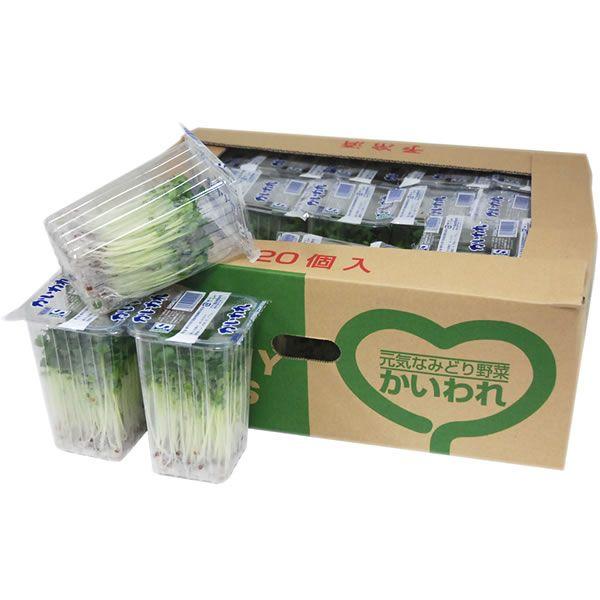 yz@iJCj@PiQOpbNj@Y@yƖpEʔ̔zyRCPz