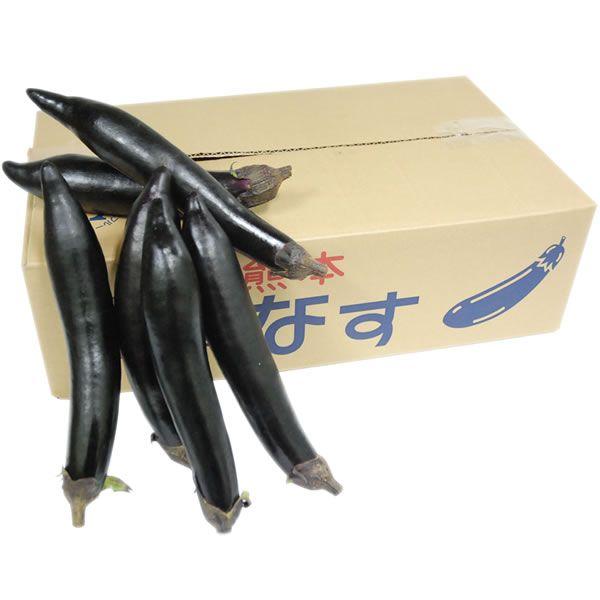 yz@֎qiȂEiXj@PiSj@BY@yƖpEʔ̔zyRCPz