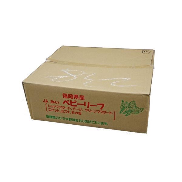 yz@xr[[t@PiQOܓj@BY@yƖpEʔ̔zyRCPz