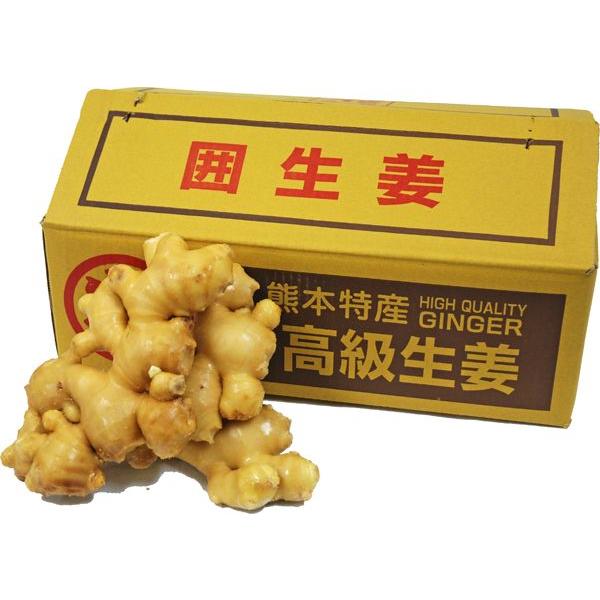 種生姜 熊本生姜4キロ 箱売り】 生姜（しょうが） 1箱（約4kg入り） 熊本・長崎産