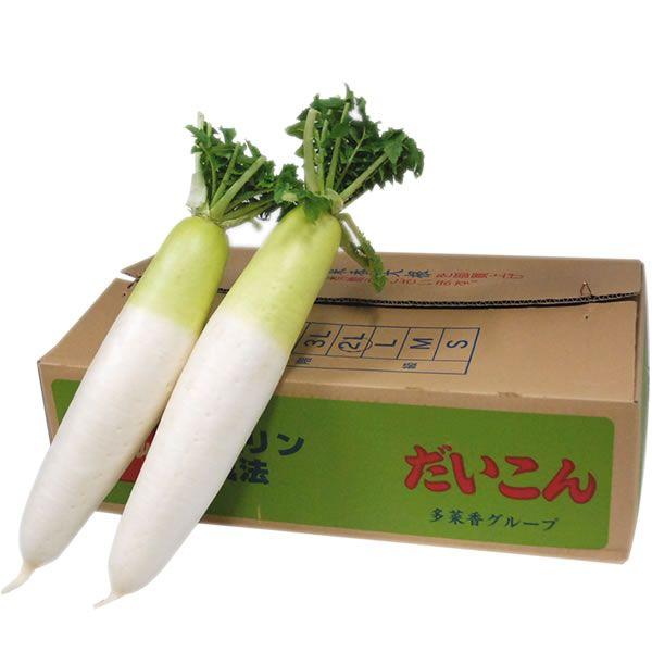 聄@卪ij@PiV{`PQ{j@YAEF{EEXEkCȂǁƖpEʔ̔