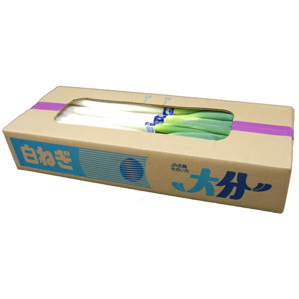大分県産 採れたて白ネギ（太め）9kg×2ケース 楽天市場】【送料無料】 大分県産他 白ネギ 秀品 L〜2Lサイズ 2
