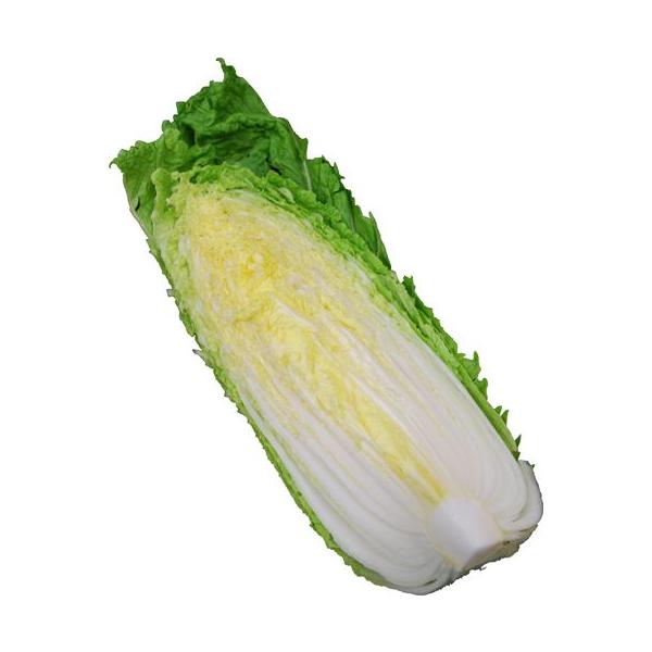 ؁i͂EnNTCj@1/4Jbg@@Y