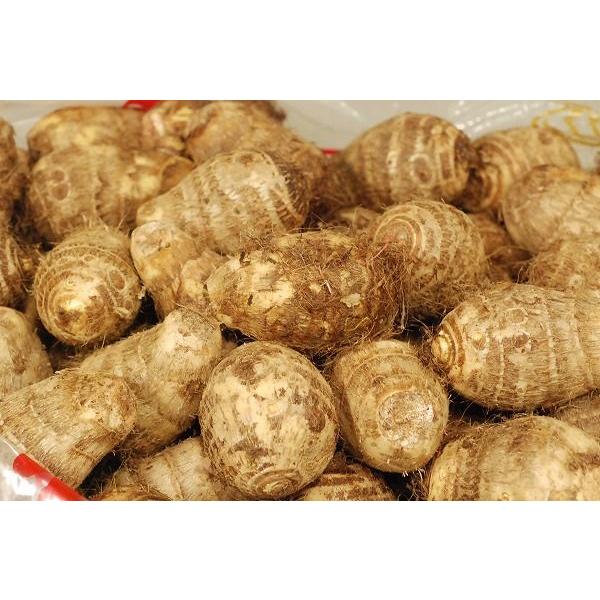 箱売り 里芋 さといも １箱 １０ｋｇ 中国産 業務用 大量販売 Rcp Buyee 日本代购平台 产品购物网站大全 Buyee一站式代购bot Online