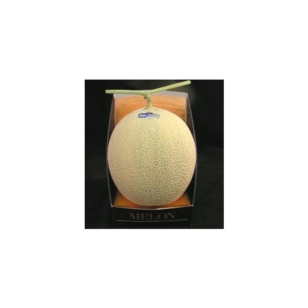 yEWzyz@A[X@Pʁ@ϔ@F{E{EY@ytw\zyԑюw\zyRCPz