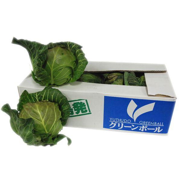 yz@O[{[if{[j@1iUʁ`POʓ/POj@Y@ yƖpEʔ̔zyRCPz