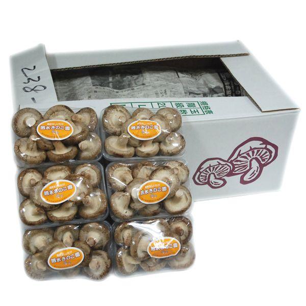 yz@őij@1iPOO×SOpbN/Sj@BY@ yƖpEʔ̔zyRCPz