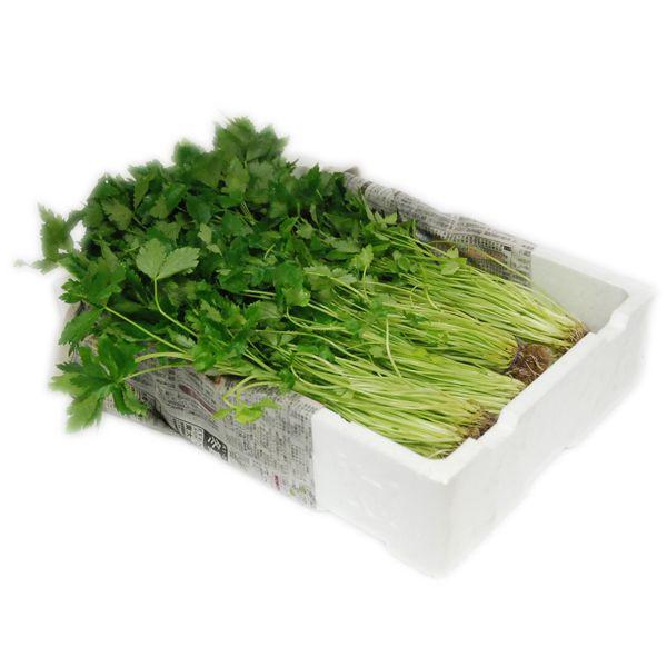 yz@Oti݂΁j@1iQOj@YyƖpEʔ̔zyRCPz