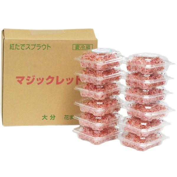 箱売り マジックレッド 紅たでのスプラウト 新芽 １箱 １２パック入り 福岡産 業務用 大量販売 Rcp おおつる青果 通販 Yahoo ショッピング