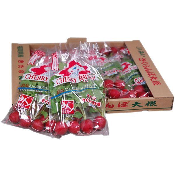 yz@fBbViڑ卪j@PiPOܓj@BEYȂǁ@yƖpEʔ̔zyRCPz