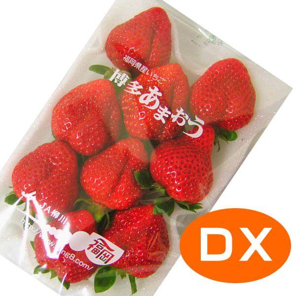 yz@܂@cwifbNXj@1pbN@Yi܂j1