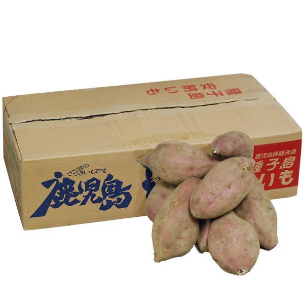 yz@BY@@[îE܂E܈j@Pi5jXC[cnyBYAAF{z