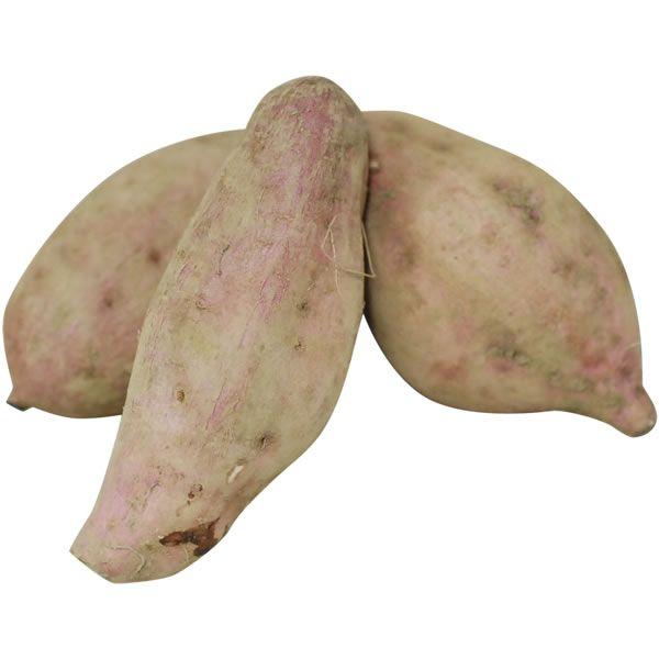 y܂z@[îE[j@1kg@BAAF{