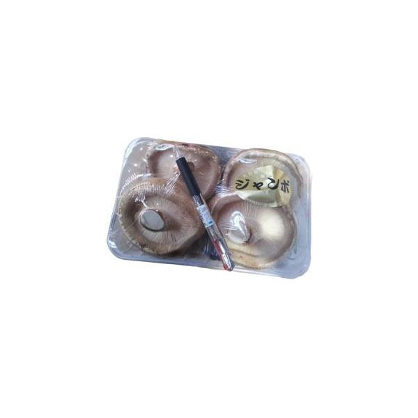 Xe[LőiW{jiS`WjPpbN@啪EBY