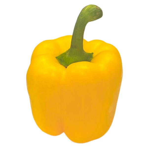 パプリカ（黄・イエロー）大型の肉厚ピーマンです！ 1玉