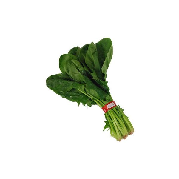 qryY@BEȂǁz@ق񑐁izE\Ej@10(܂Ƃߔ)