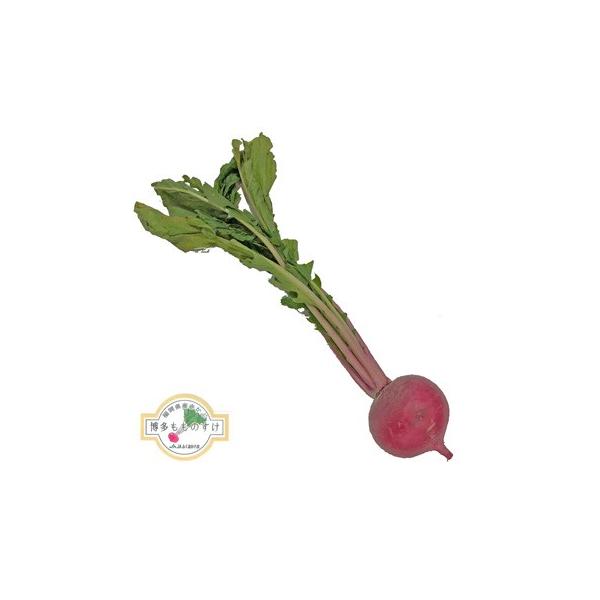 ̂Pʁyi`ӂzEԁEJuEBY@Y@{Y