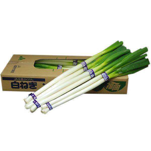 yz@KE[Ki˂E[˂j@PiROO×POj@Y@yƖpEʔ̔zyRCPz