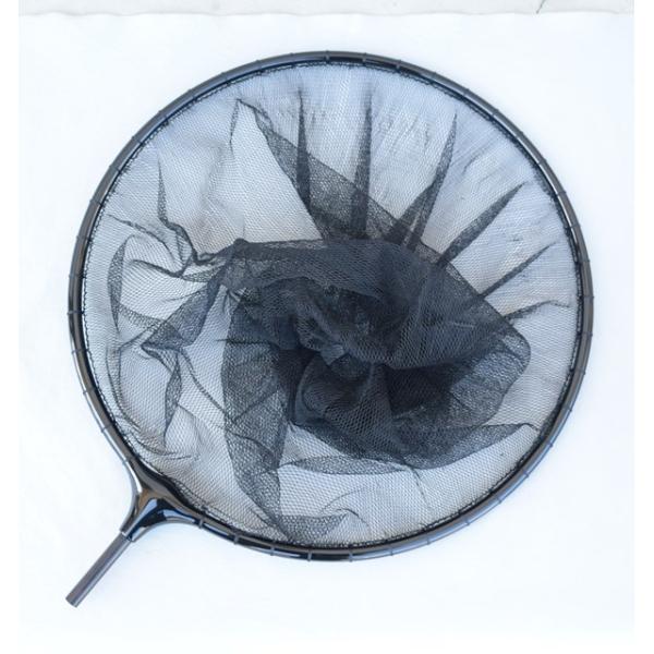 ootuka-turigu_333-2-tama