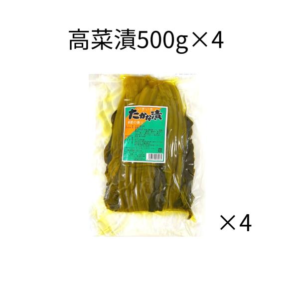 高菜漬500g1個入　高菜　漬け物　九州産　漬物　高菜漬　たかな漬　たかな　国産　送料無料　一枚物