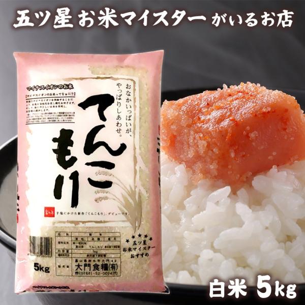 お米 ギフト 米 5kg てんこもり 富山県産 5キロ 令和6年産 令和6 お米 ギフト 米 5kg てんこもり 富山県産 5キロ 令和6年産 令和6