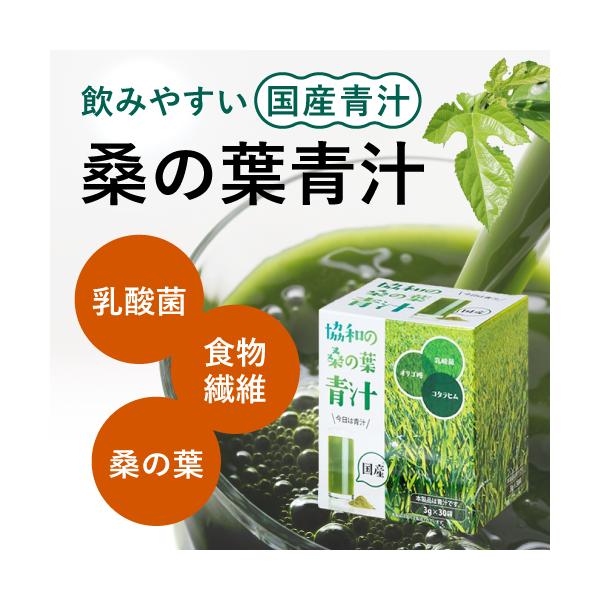 青汁 大麦若葉 乳酸菌 国産 おいしい 飲みやすい ダイエット 妊婦  野菜不足 内臓脂肪 腸活 粉末 お通じ 桑の葉 血圧 コレステロール 肥満 スティック 若葉