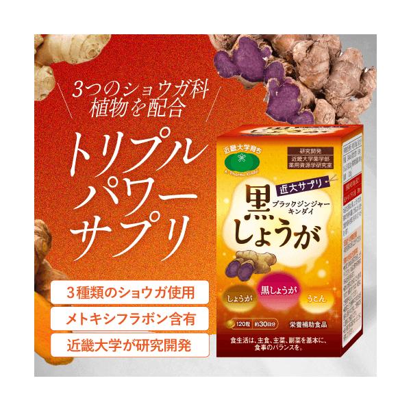 ブラックジンジャー 生姜 サプリ 30日分 近大サプリ 黒しょうが うこん 人気 おすすめ オーガニック ショウガ