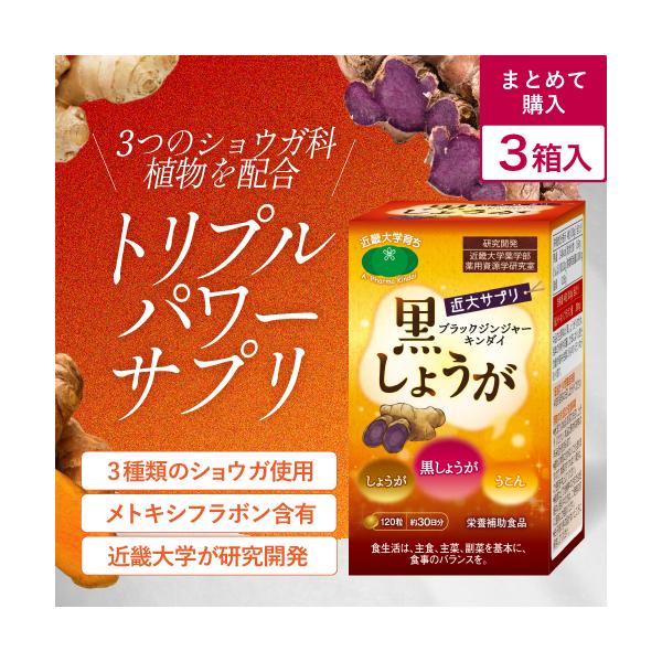 3箱セット ブラックジンジャー 生姜 サプリ 90日分 近大サプリ 黒しょうが うこん 人気 おすすめ オーガニック ショウガ