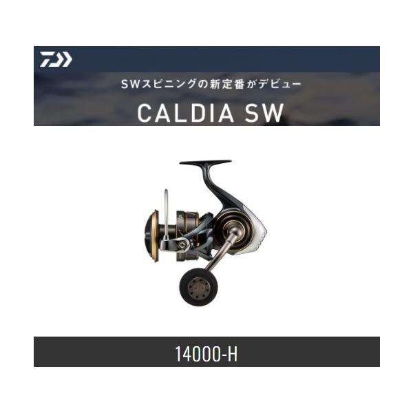 Daiwa 22カルディアSW14000H Daiwa 22 Caldia SW 14000-H