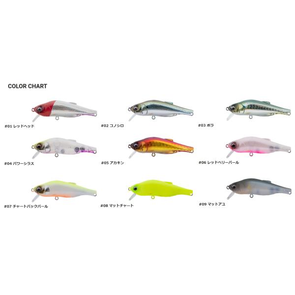 openwater_bless100ss_1_d_20251215183718