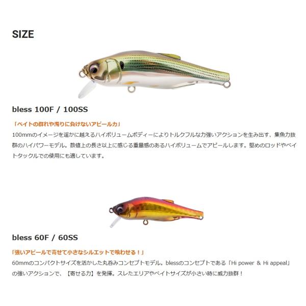 openwater_bless100ss_3_d_20251215183717